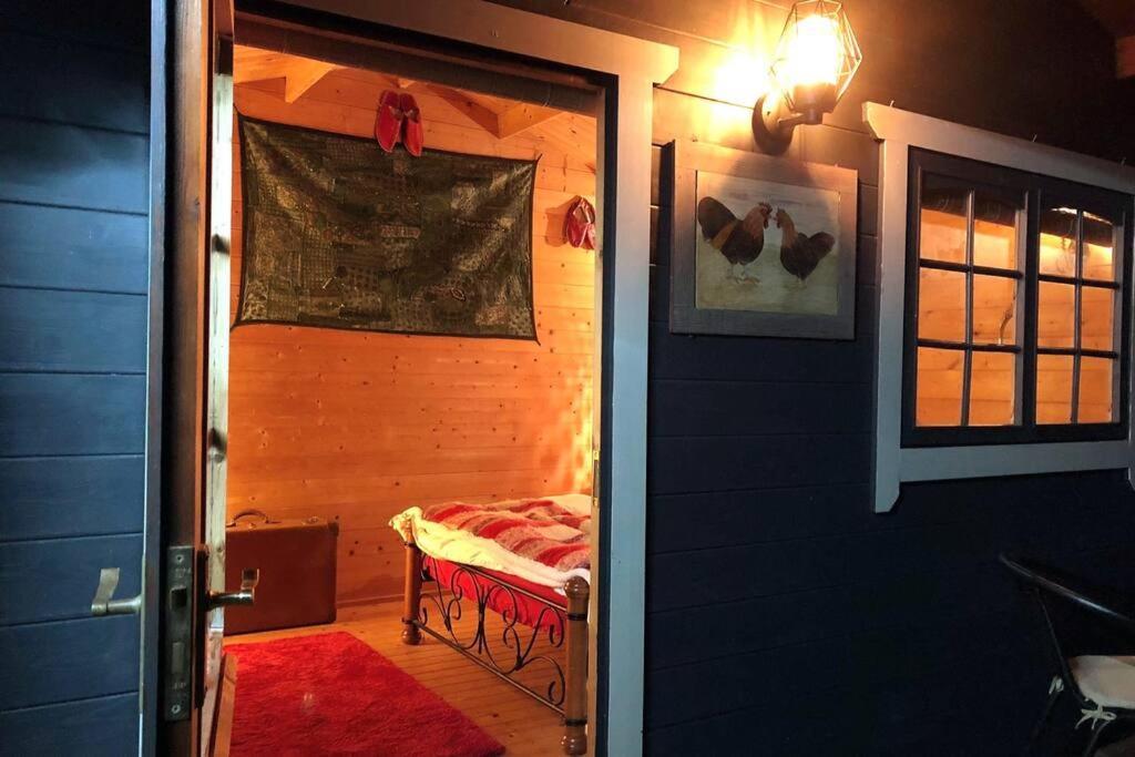 Unique Tiny House Near 3 Peaks - The Zedshed Apartment Bentham Exterior photo
